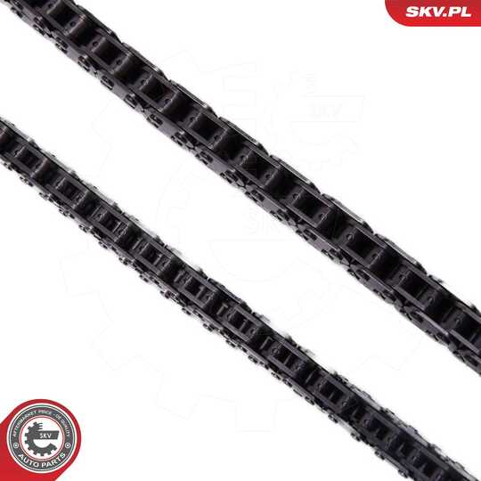 21SKV251 - Timing Chain Kit 