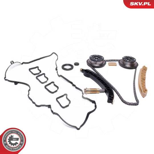 21SKV264 - Timing Chain Kit 