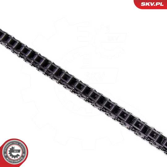 21SKV264 - Timing Chain Kit 