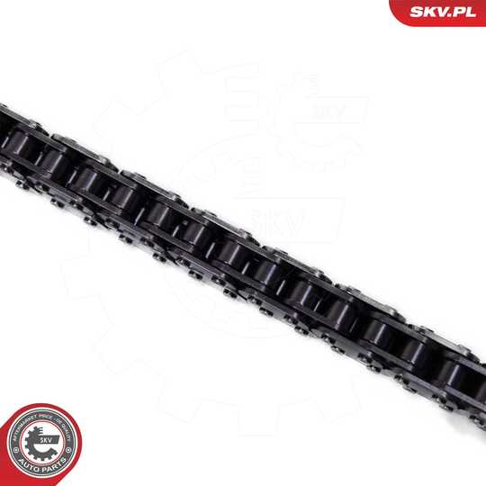 21SKV266 - Timing Chain Kit 