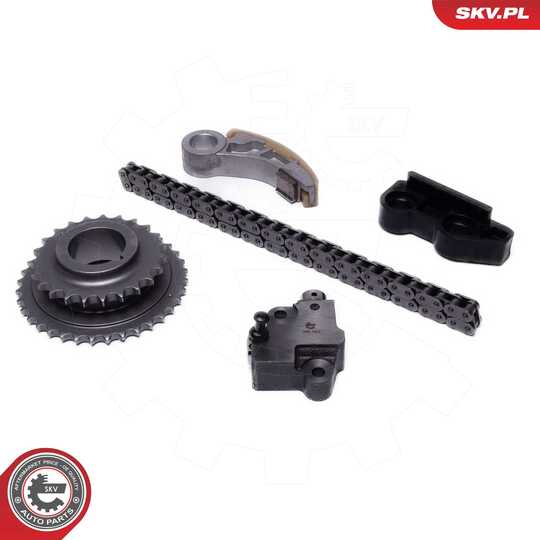 21SKV266 - Timing Chain Kit 