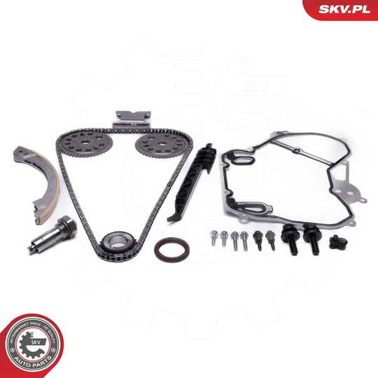 21SKV261 - Timing Chain Kit 