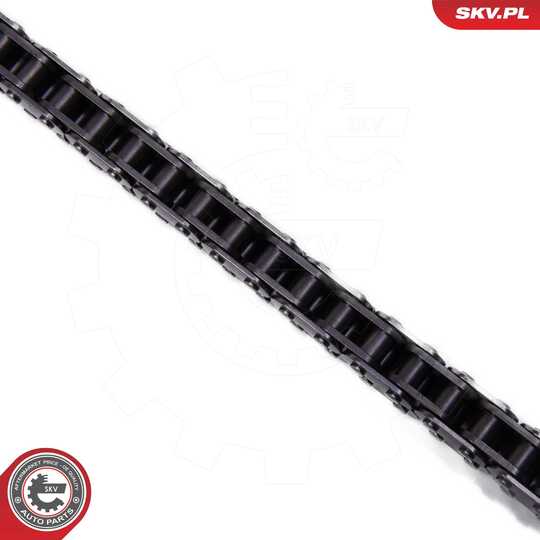 21SKV252 - Timing Chain Kit 