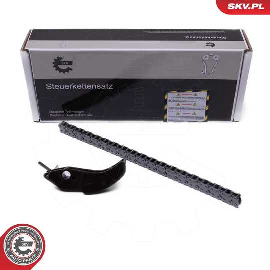 21SKV252 - Timing Chain Kit 