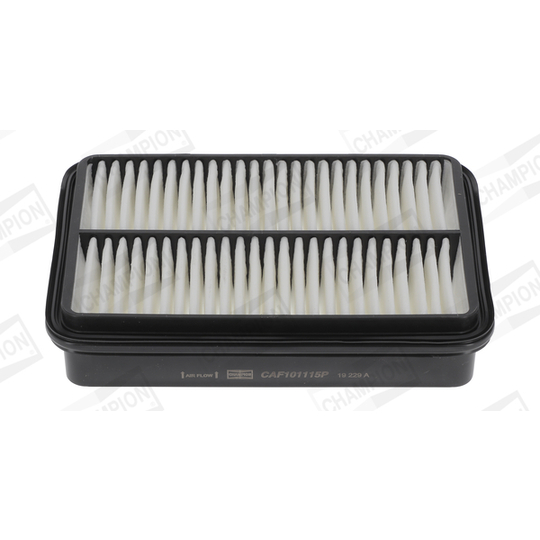 CAF101115P - Air filter 