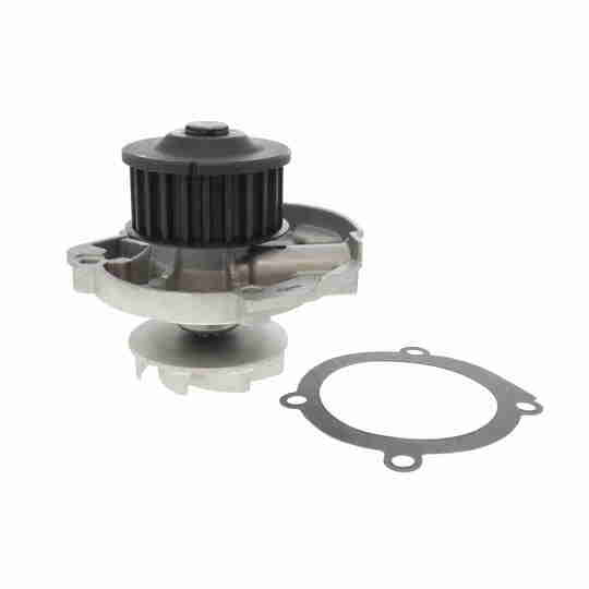 V24-50022 - Water Pump & Timing Belt Set 