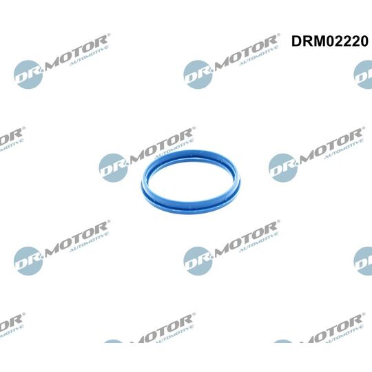 DRM02220 - Gasket, intake manifold housing 