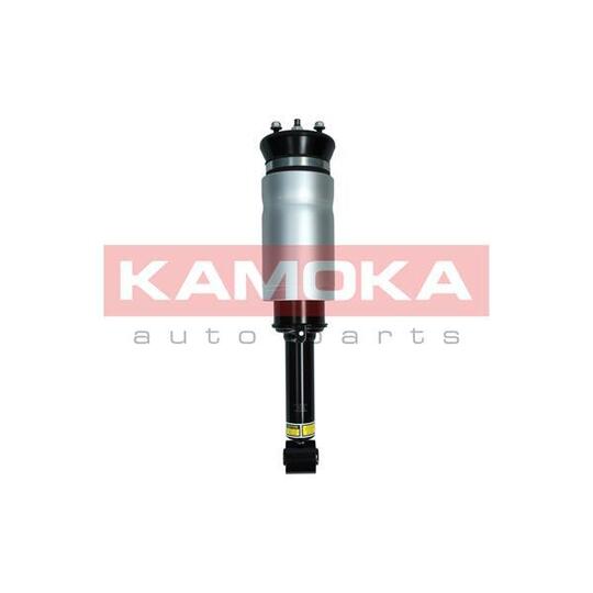 2070019 - Air Suspension Strut 