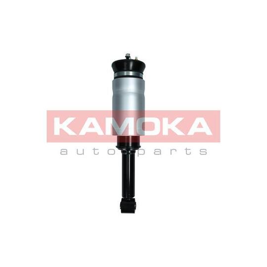 2070019 - Air Suspension Strut 