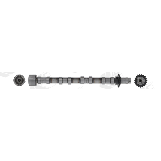 CAM1031 - Camshaft 