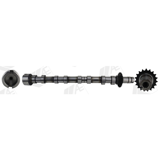 CAM1031 - Camshaft 