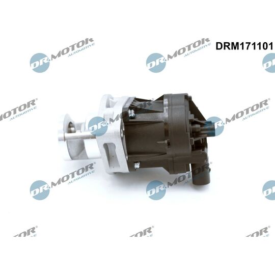 DRM171101 - EGR Valve 