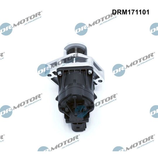 DRM171101 - EGR Valve 