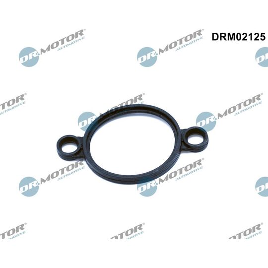 DRM02125 - Seal, adjusting element (eccentric shaft) 