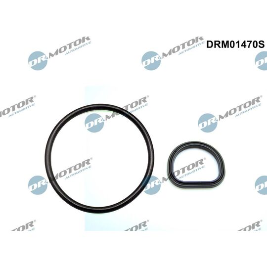 DRM01470S - Gasket Set, crankcase ventilation 