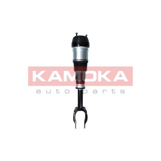 2070002 - Air Suspension Strut 