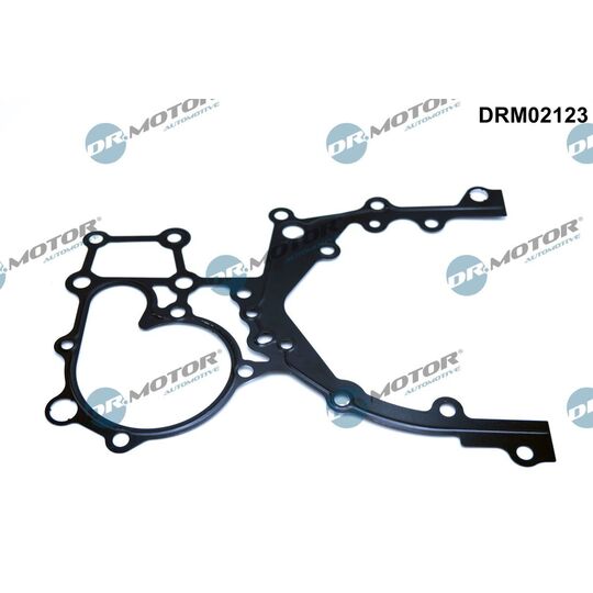 DRM02123 - Gasket, timing case 