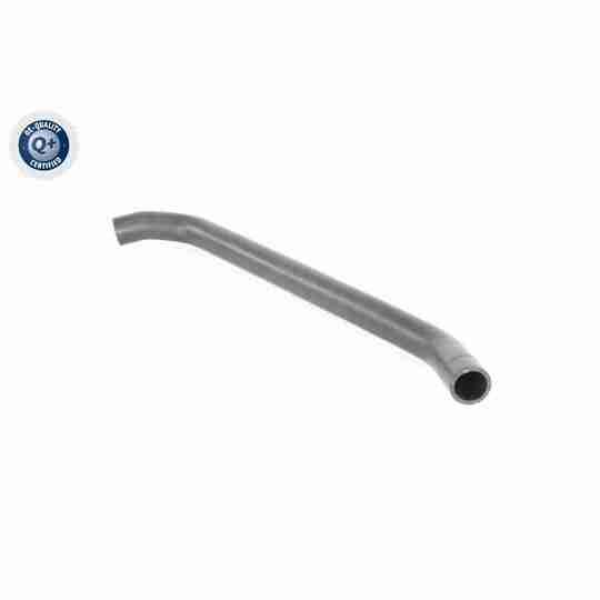 V10-8856 - Radiator Hose 