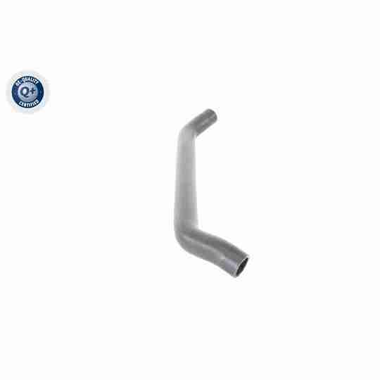 V10-8856 - Radiator Hose 