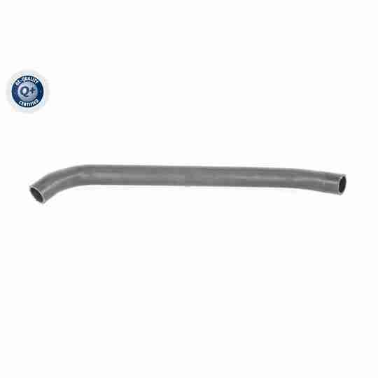 V10-8856 - Radiator Hose 