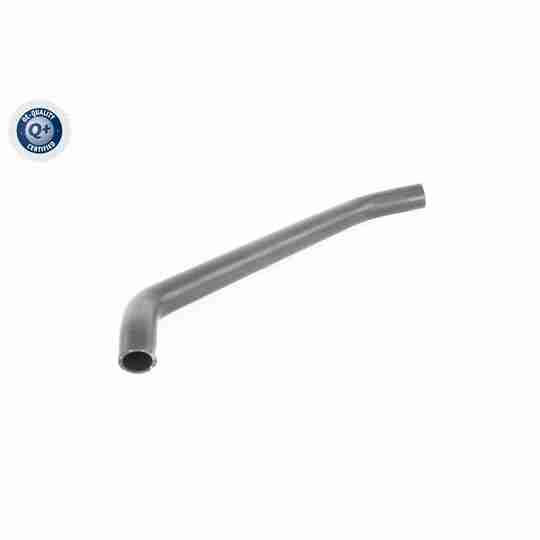 V10-8856 - Radiator Hose 