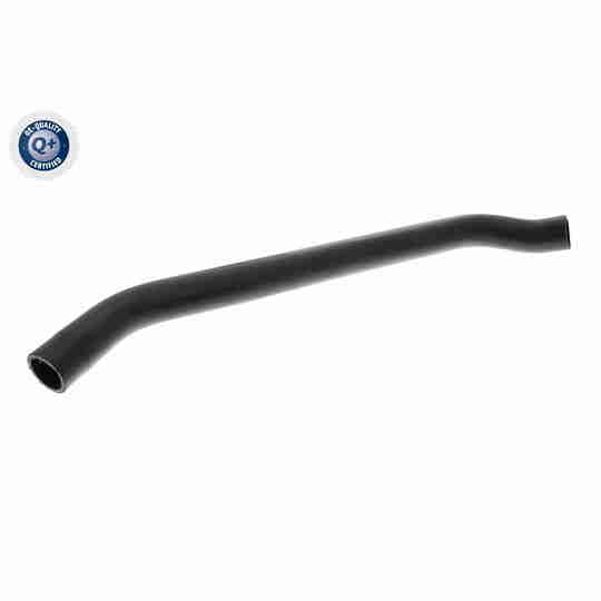 V10-8856 - Radiator Hose 