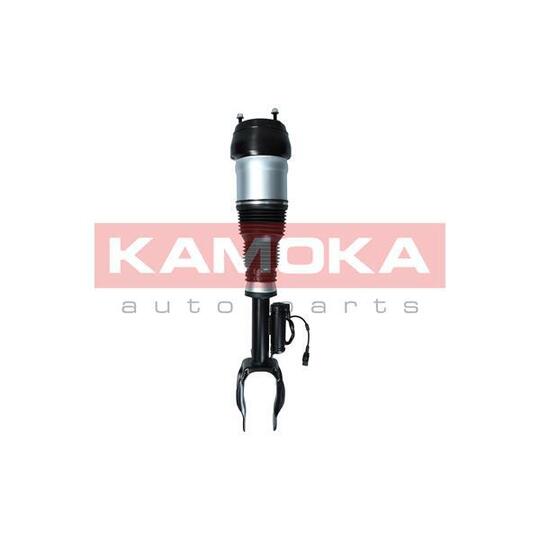 2070003 - Air Suspension Strut 