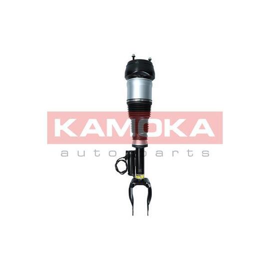 2070003 - Air Suspension Strut 