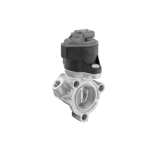 710525D - EGR Valve 