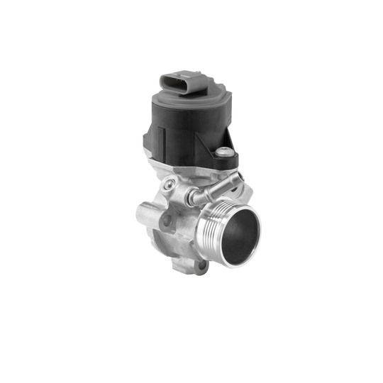 710525D - EGR Valve 