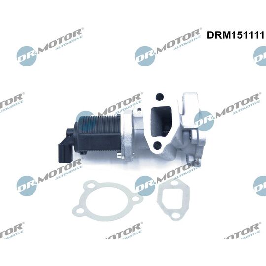 DRM151111 - EGR Valve 