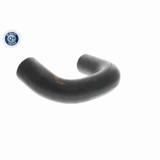 V22-1155 - Radiator Hose 