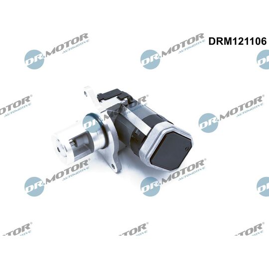 DRM121106 - EGR Valve 