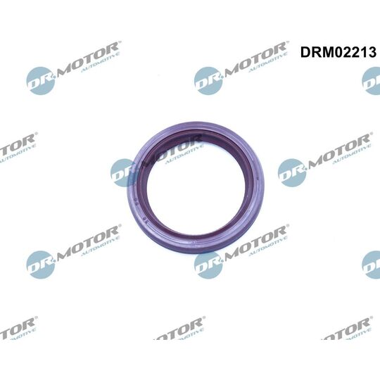 DRM02213 - Shaft Seal, camshaft 