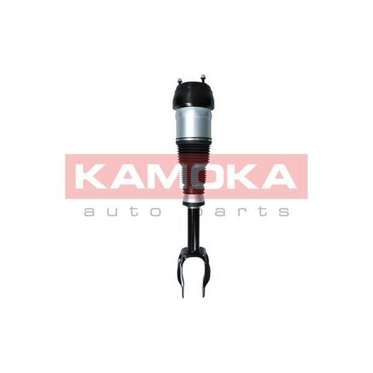 2070001 - Air Suspension Strut 