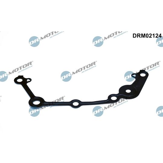 DRM02124 - Gasket, timing case 