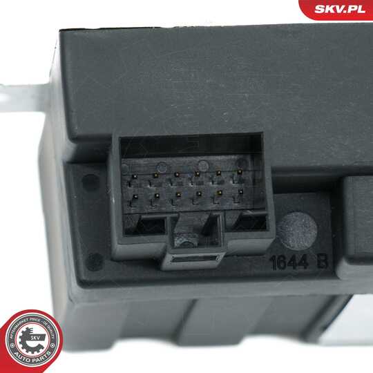 59SKV205 - Control Unit, fuel pump 