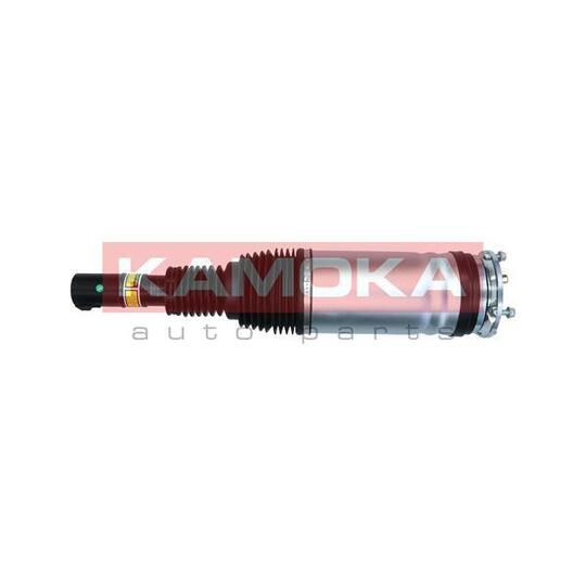 2070010 - Air Suspension Strut 