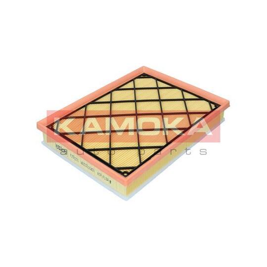 F256201 - Air filter 