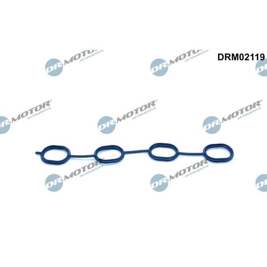 DRM02119 - Gasket, intake manifold 