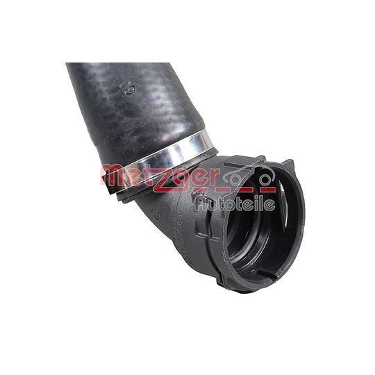 2421790 - Radiator Hose 