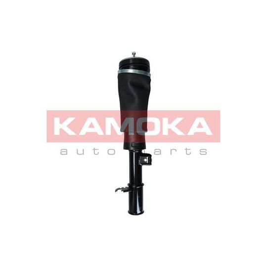 2070020 - Air Suspension Strut 