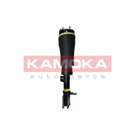 2070020 - Air Suspension Strut 