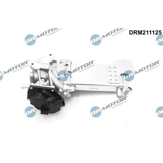 DRM211125 - EGR Valve 