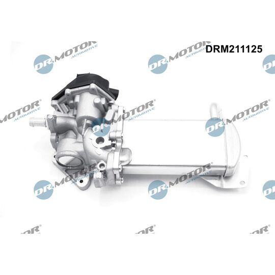 DRM211125 - EGR Valve 