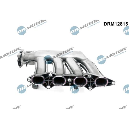 DRM12815 - Intake Manifold Module 