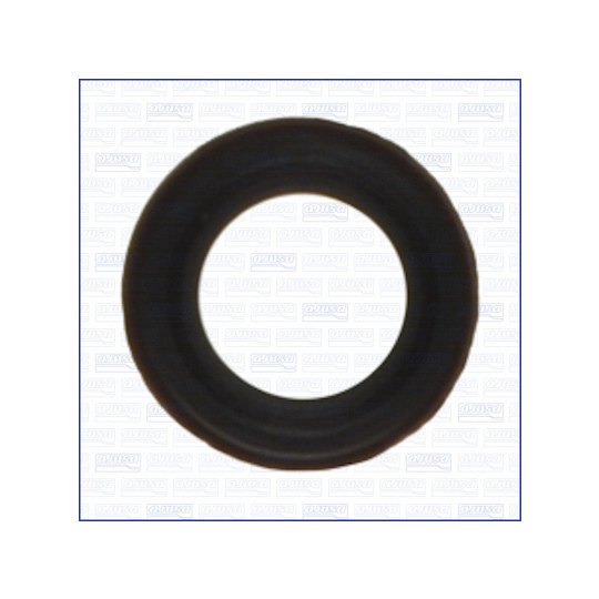 00697100 - O-ring, instrutning 