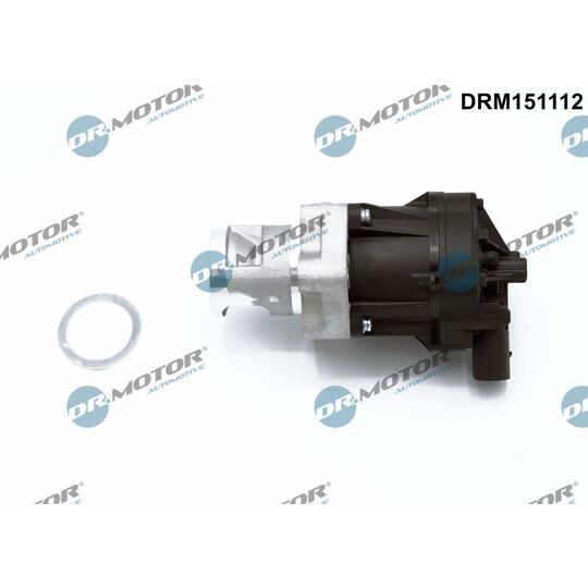 DRM151112 - EGR-klapp 