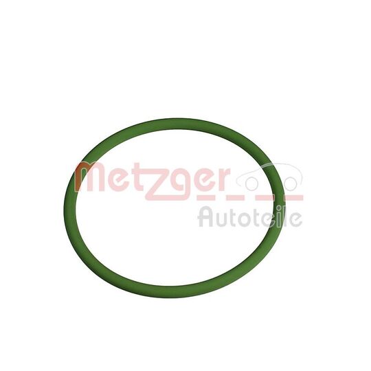 2430153 - Seal Ring 