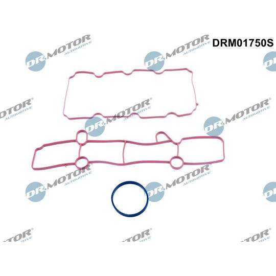 DRM01750S - Gasket Set, intake manifold 